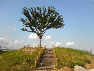 FM�}�U�[�V�b�v��