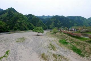 �摜(320x214)�E�g��摜(640x429)