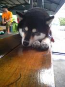 �摜(135x180)�E�g��摜(480x640)