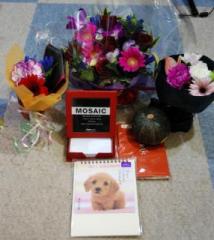 画像(214x240)・拡大画像(429x480)