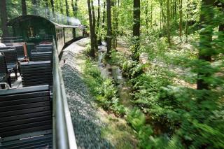 �摜(320x213)�E�g��摜(640x426)