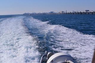 画像(320x213)・拡大画像(640x427)