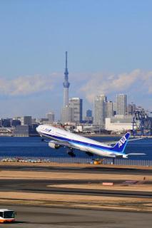 画像(213x320)・拡大画像(427x640)