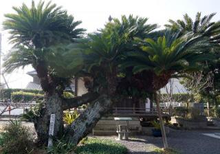 �摜(320x224)�E�g��摜(640x449)