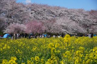 �摜(320x213)�E�g��摜(640x426)